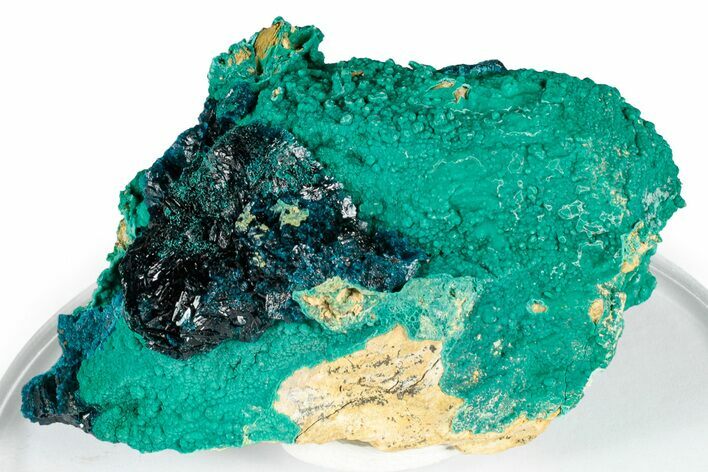 Blue Veszelyite and Kipushite on Zincolibethenite - Congo #351595